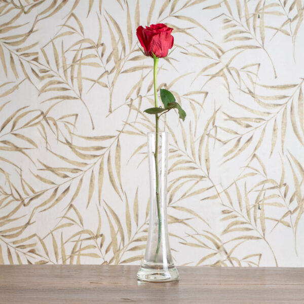 Rose a Gambo Corto