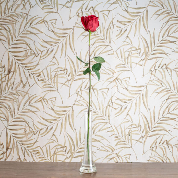 Rose a Gambo Lungo