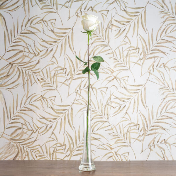 Rose a Gambo Lungo - immagine 3